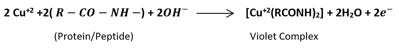 biuret test principle