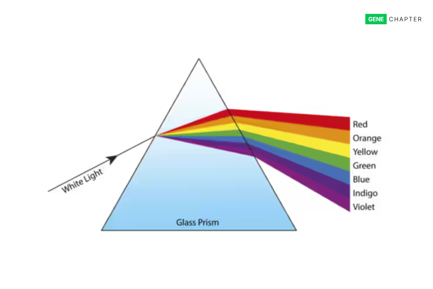 diagram showing the dispersion of white light into the seven visible colours of the spectrum red  orange  yellow  green  blue  indigo  and violet 