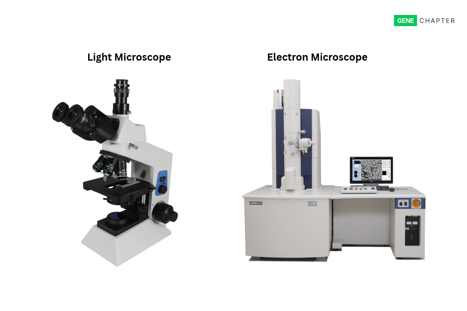 difference between light microscope vs electron microscope