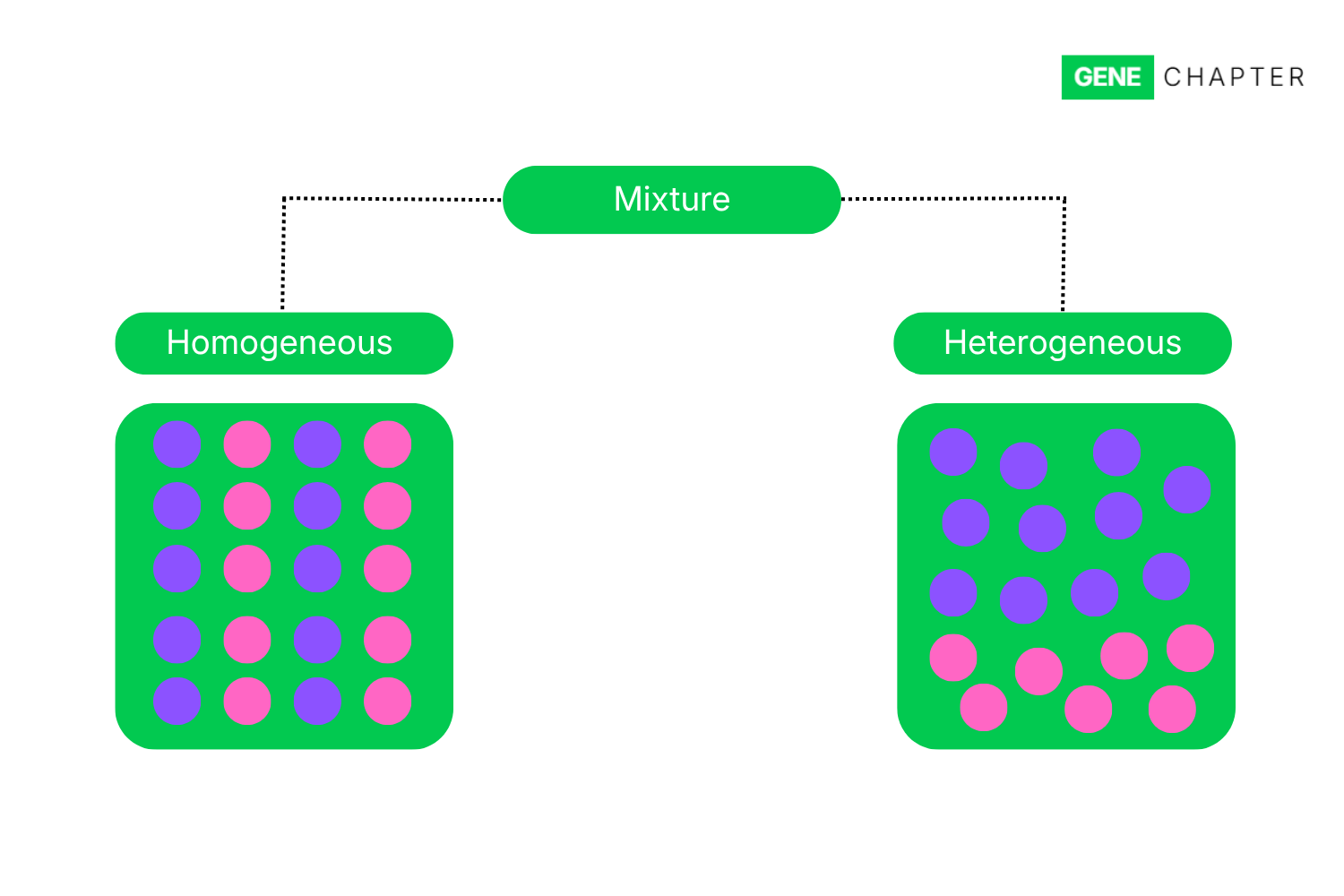 homogeneous mixture and heterogeneous mixture