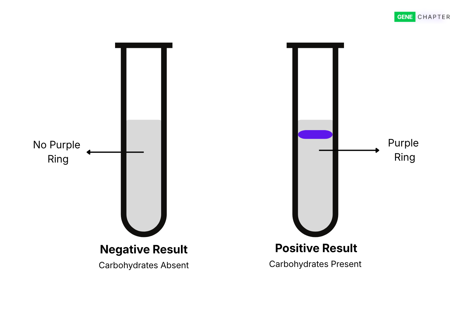 molisch test result