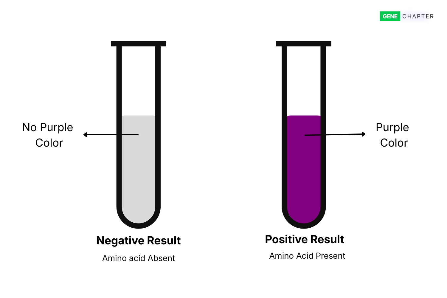 ninhydrin test result