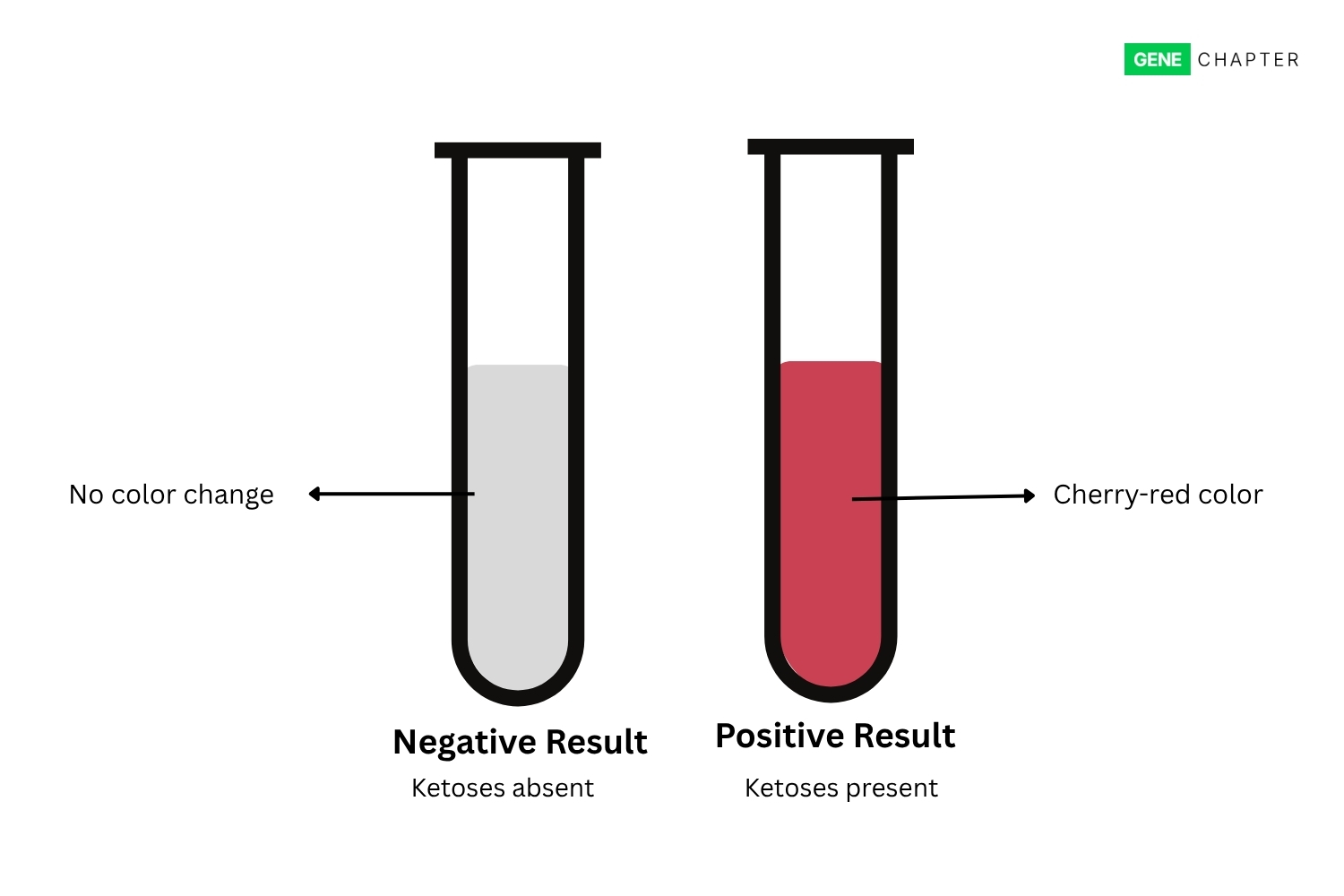 result of seliwanoff s test