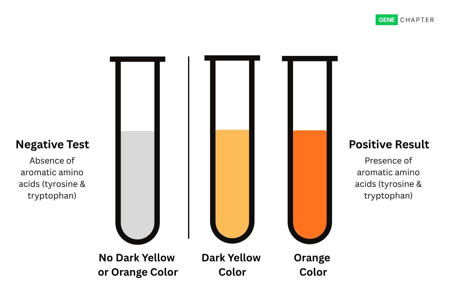 result of xanthoproteic test