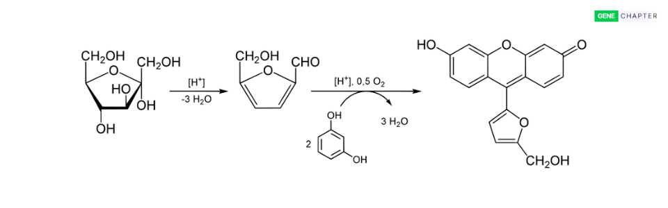 seliwanoff s test with fructose