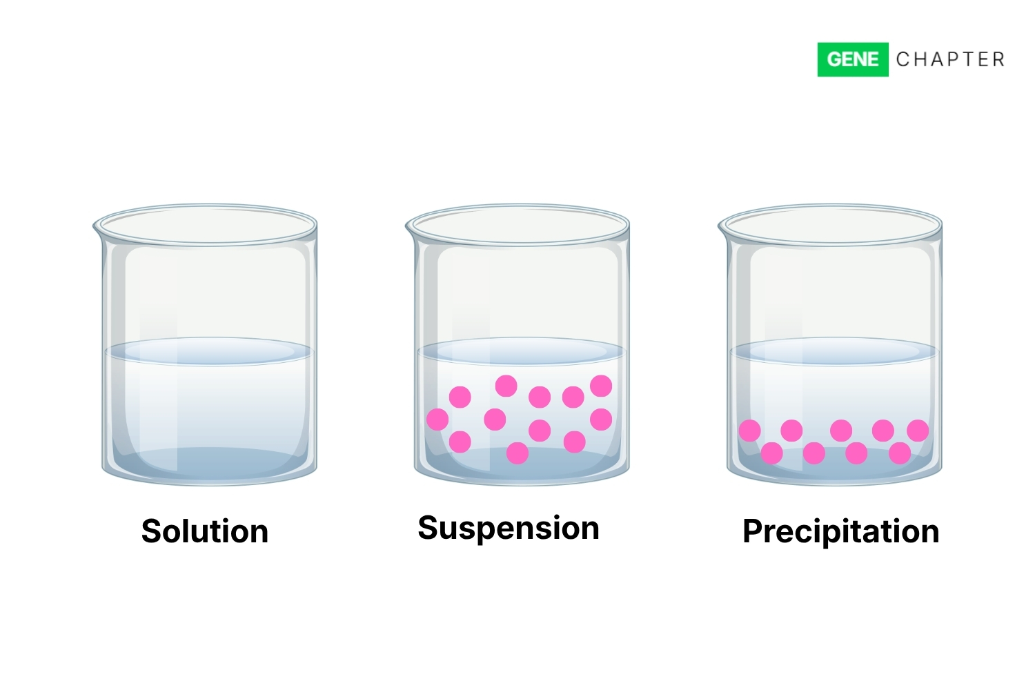 suspension