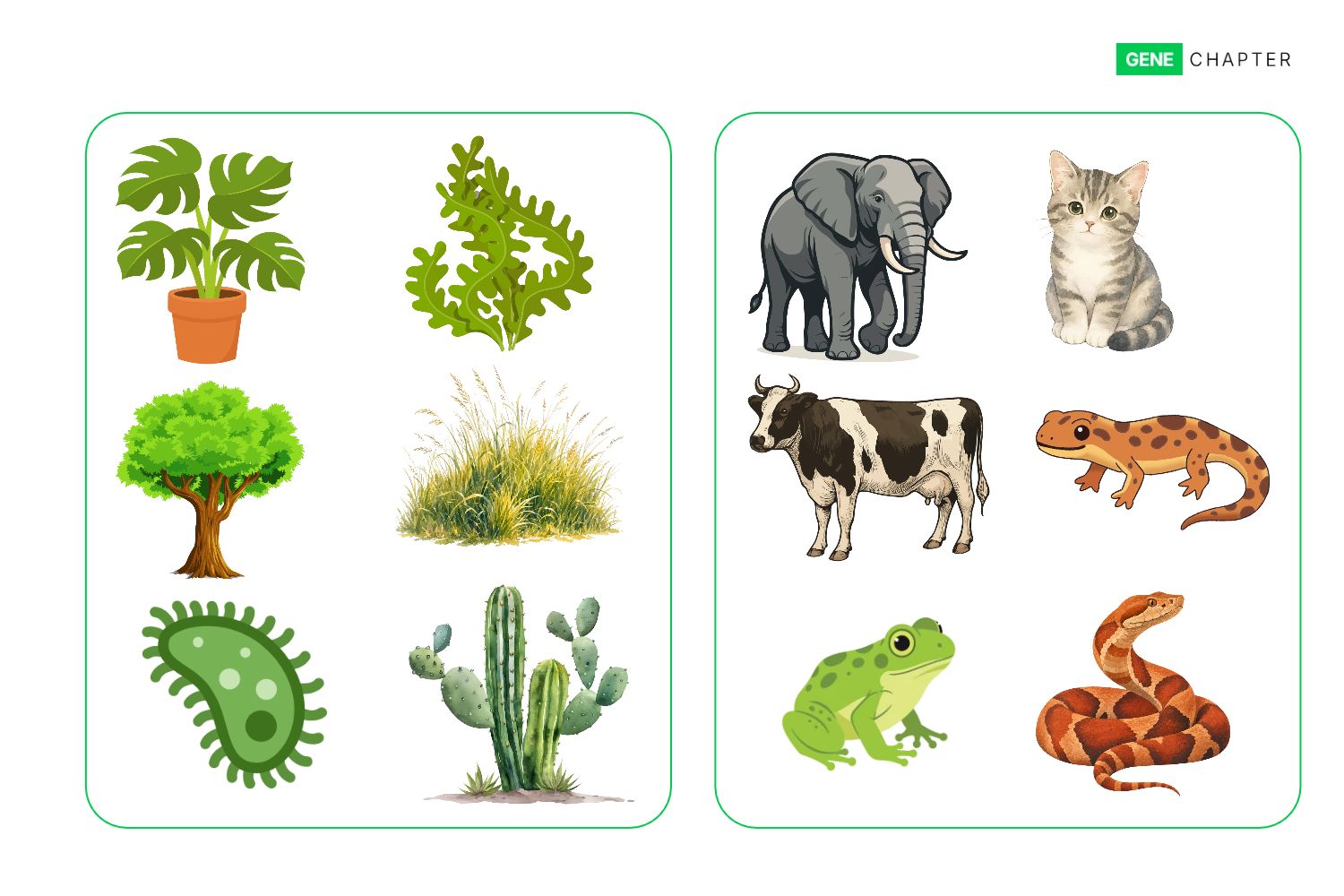 Difference between Autotrophs and Heterotrophs