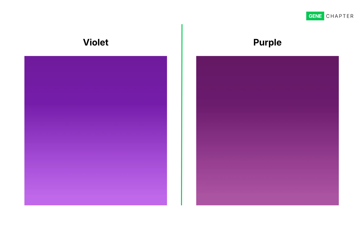 Difference between Violet and Purple Colour