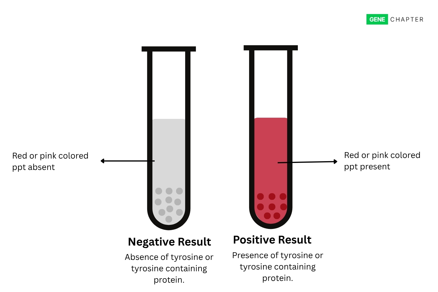 Millon’s Test: Principle, Procedure, Result, Uses