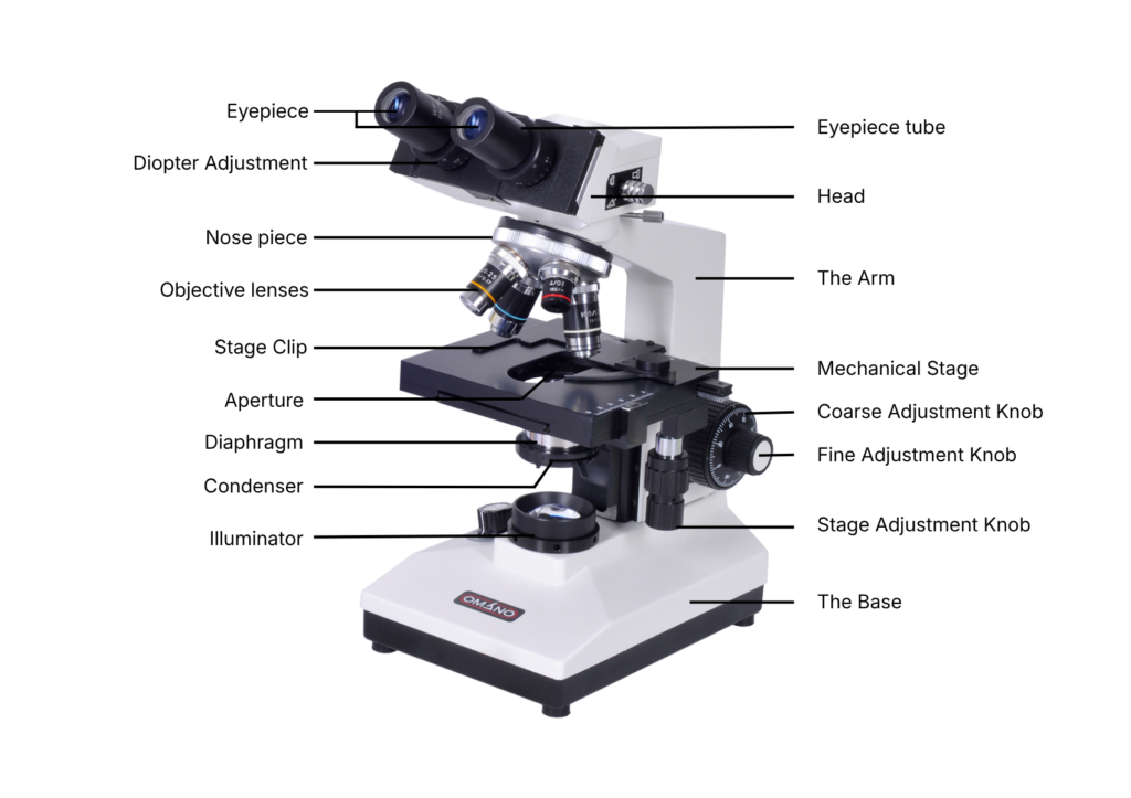 Microscope labeled
